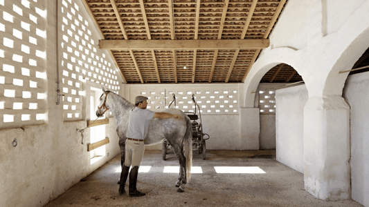 11 Incredible Equestrian Resorts to Visit in 2024