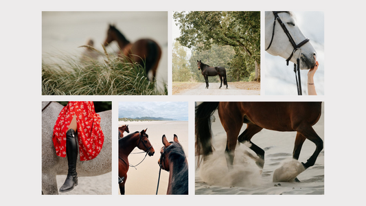 Portraits from Portland: Tais Shares her Journey in Equestrian Photography