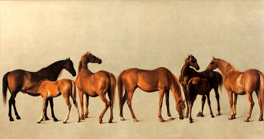 EQUESTRIAN ART: George Stubb's Horses